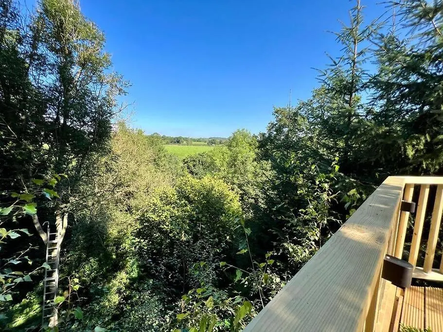 The Pines Treehouse At Treetops Hideouts Richmond  Richmond (North Yorkshire)