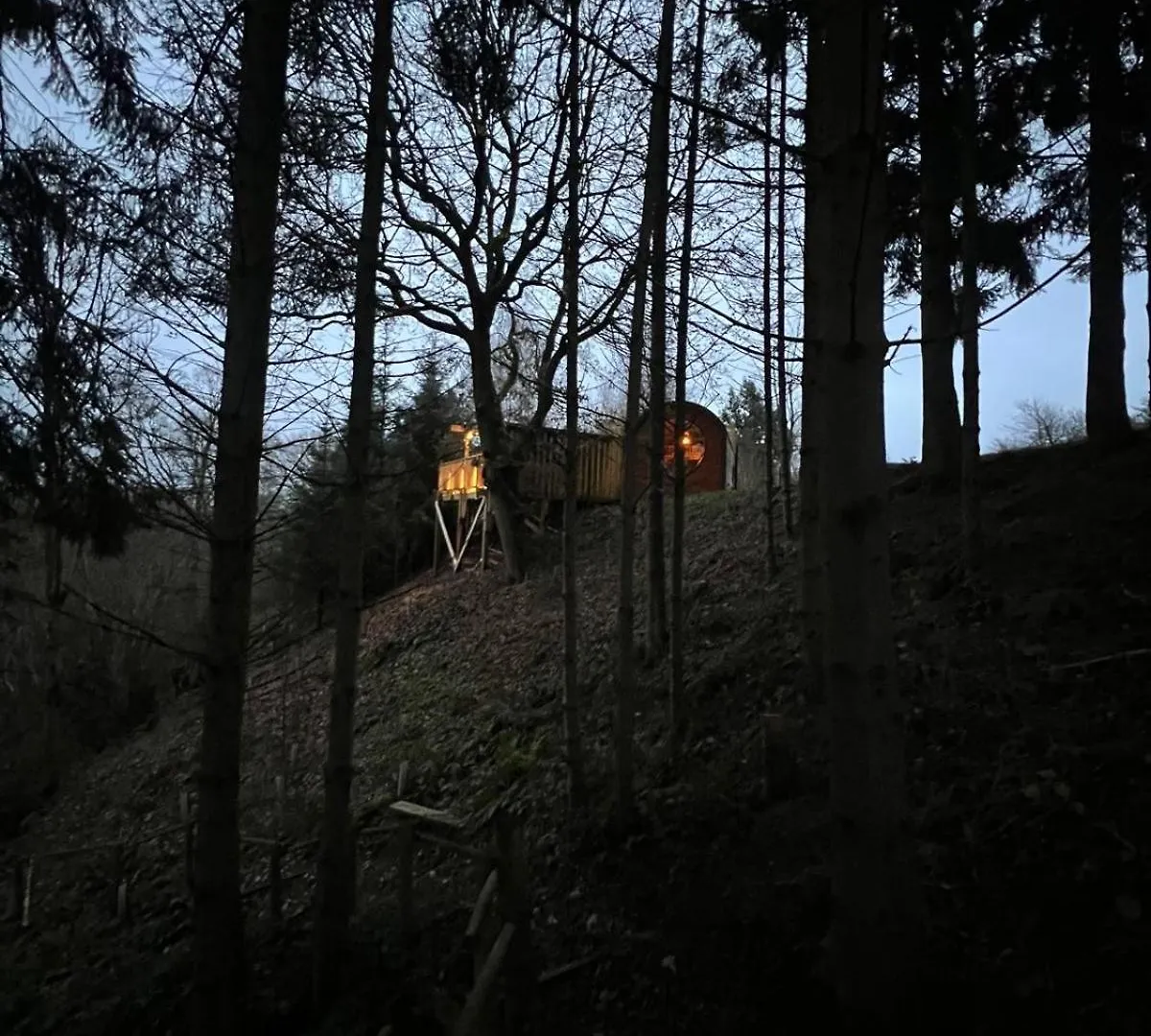The Pines Treehouse At Treetops Hideouts Richmond  0*, Richmond (North Yorkshire)