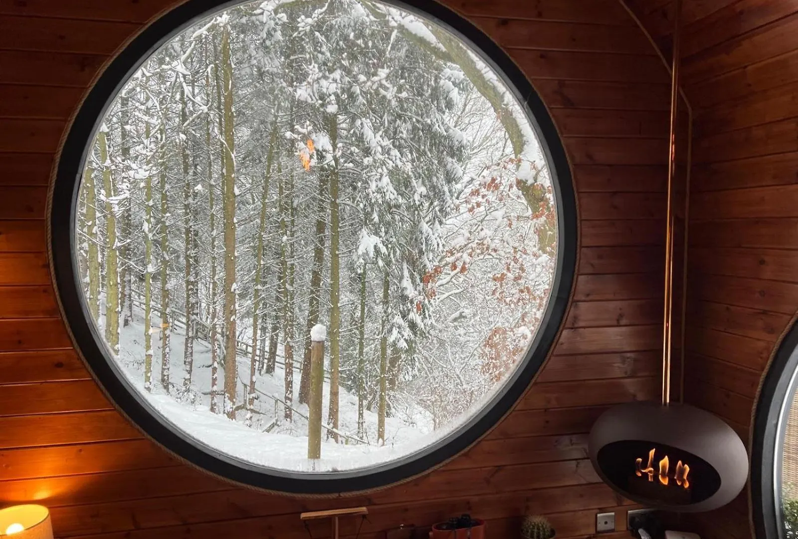 Ferienhaus The Pines Treehouse At Treetops Hideouts Richmond